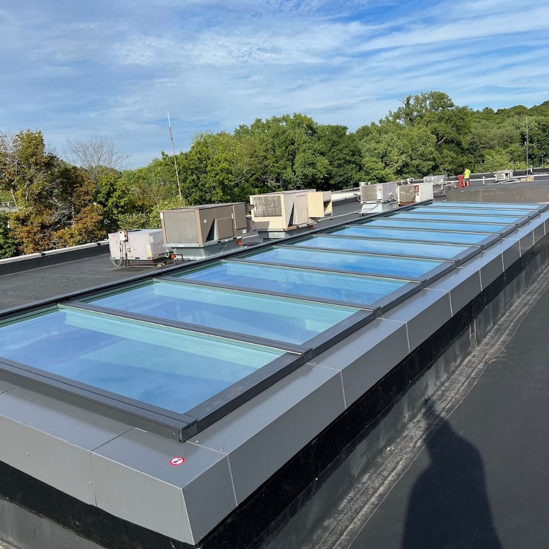 Rooftop skylight windows with blue glass on a flat black roof under a sunny sky