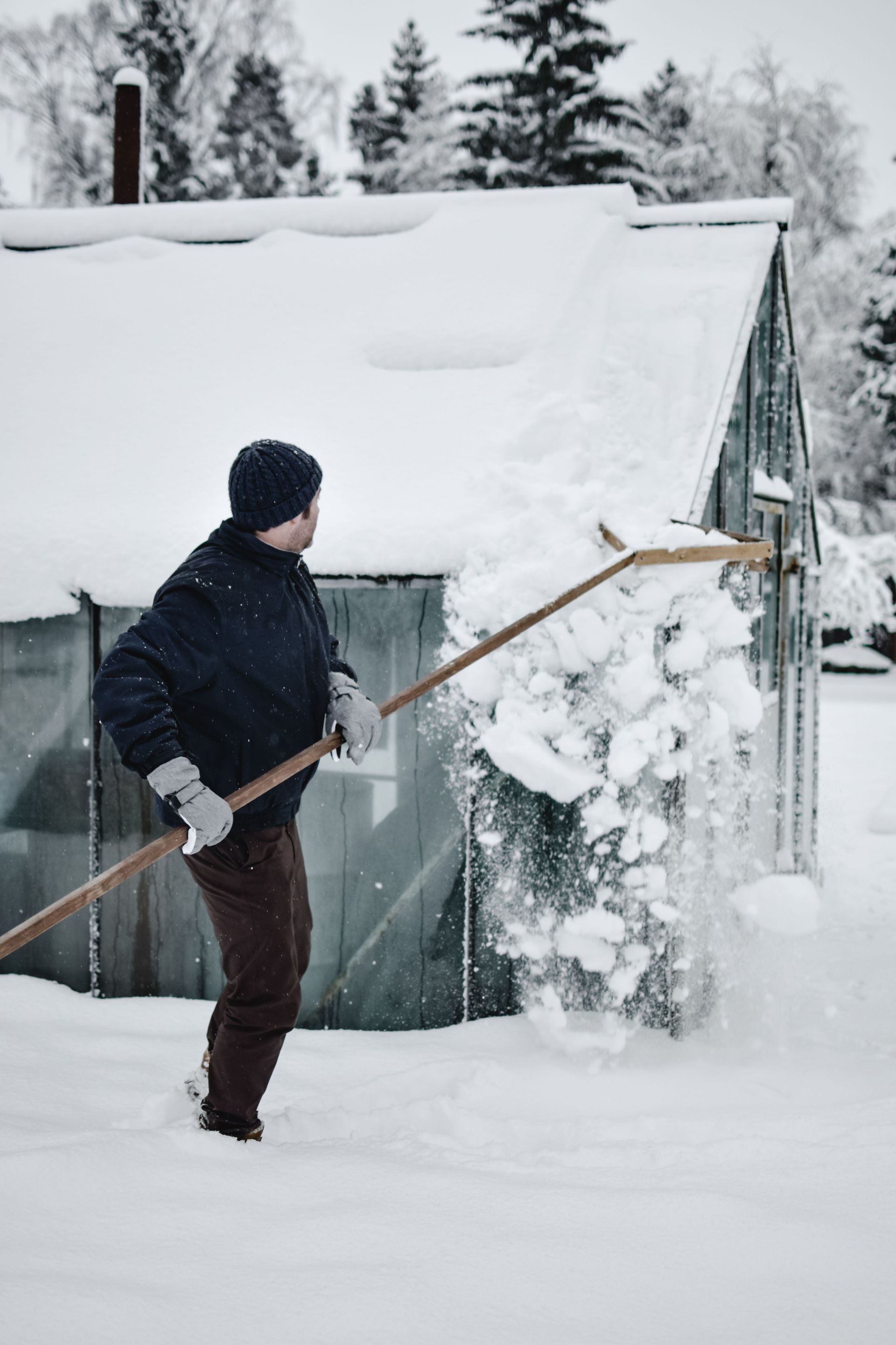Person shoveling snow beside a green shed in a snowy yard