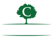 A green tree with the letter c on it is on a white background.