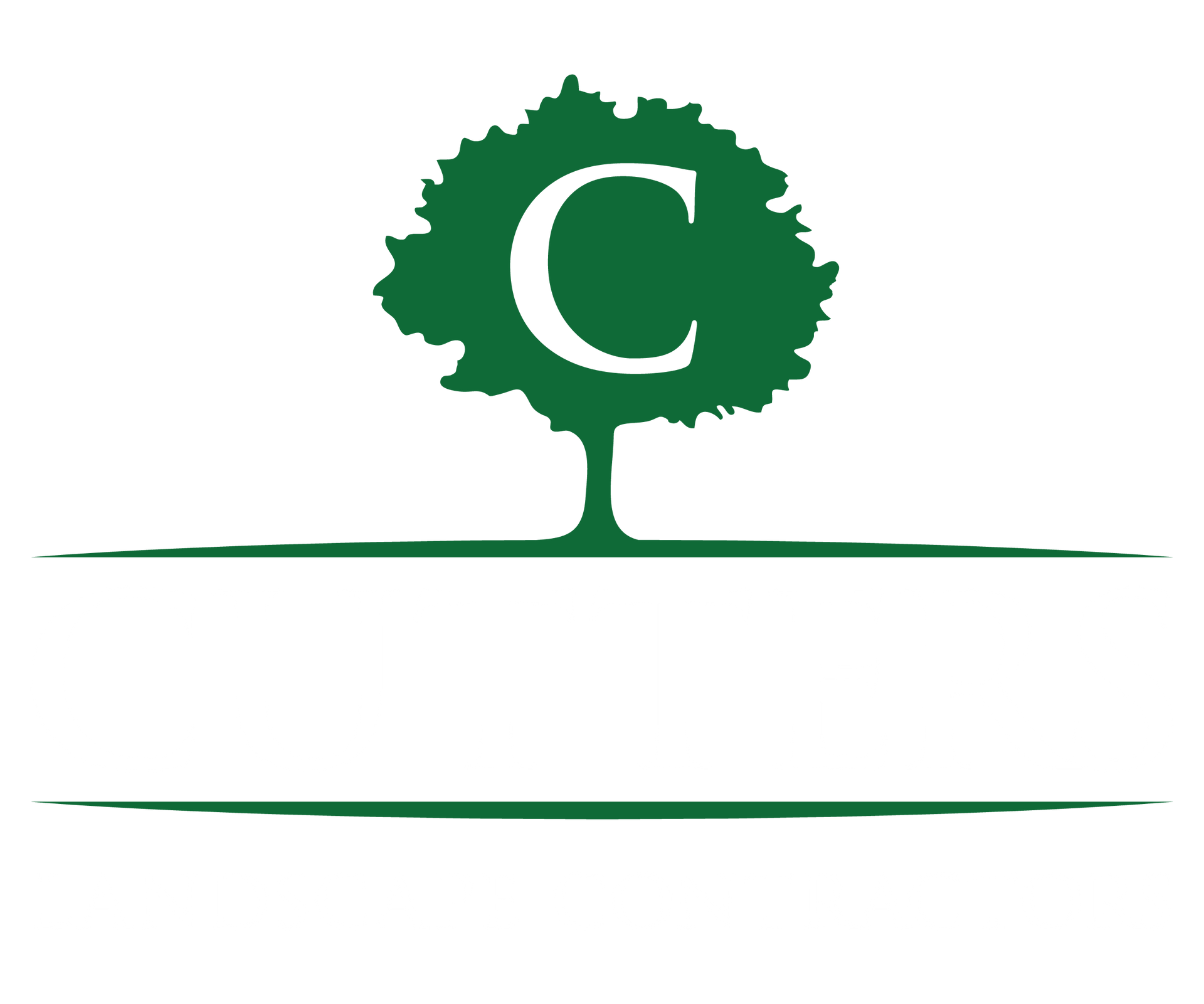 A green tree with the letter c on it is on a white background.