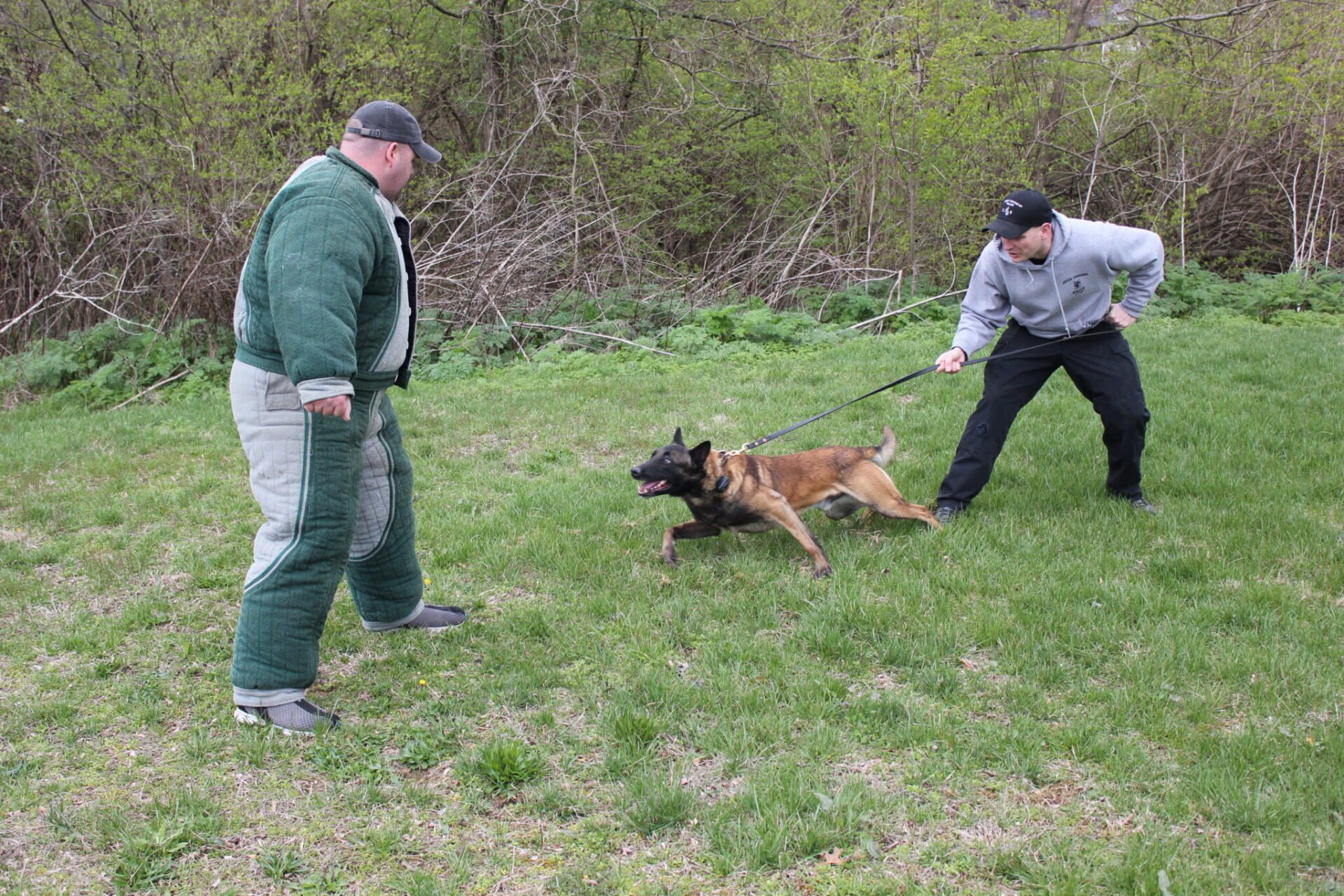 K-9 RAIDER (CURRENT)