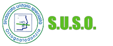 Un logo per Suso, un'associazione odontoiatrica