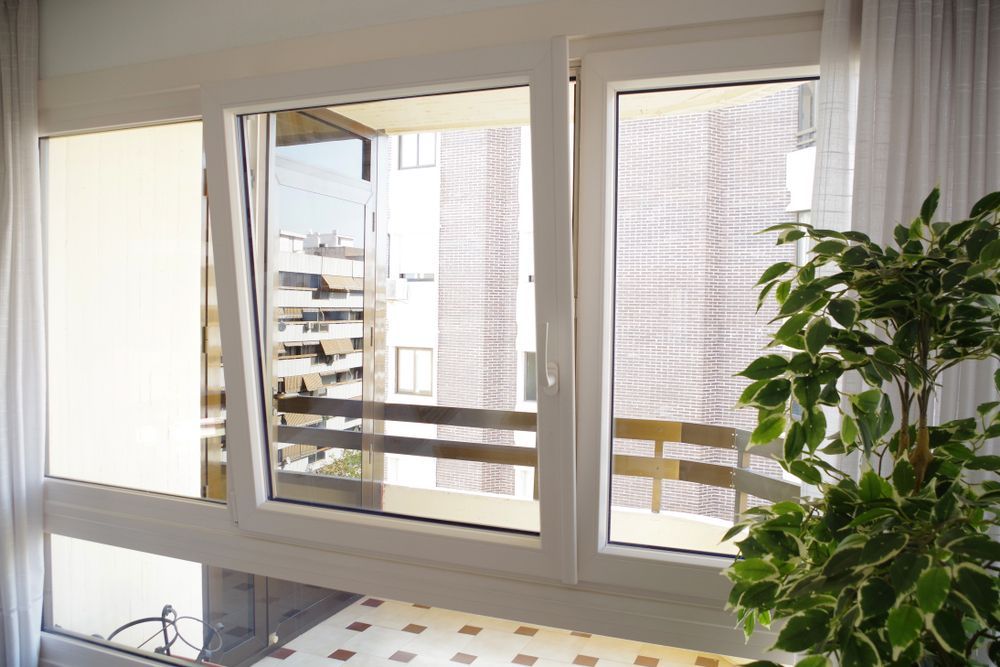 A Large Window With A Plant In Front Of It — Roo’s Door & Window Maintenance In Sippy Downs, QLD