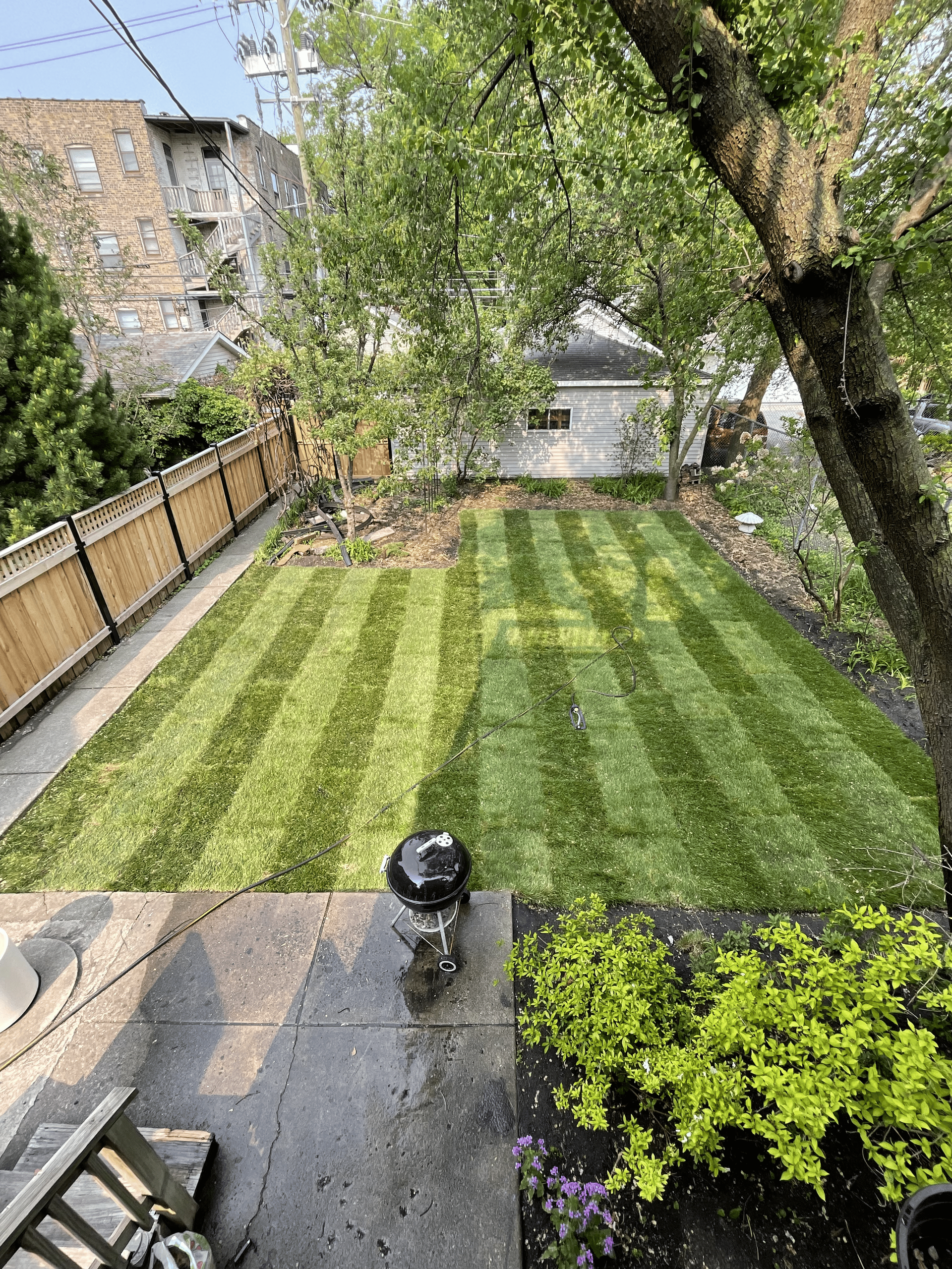 Backyard with striped lawn, wooden fence, small grill, and a building in the background.