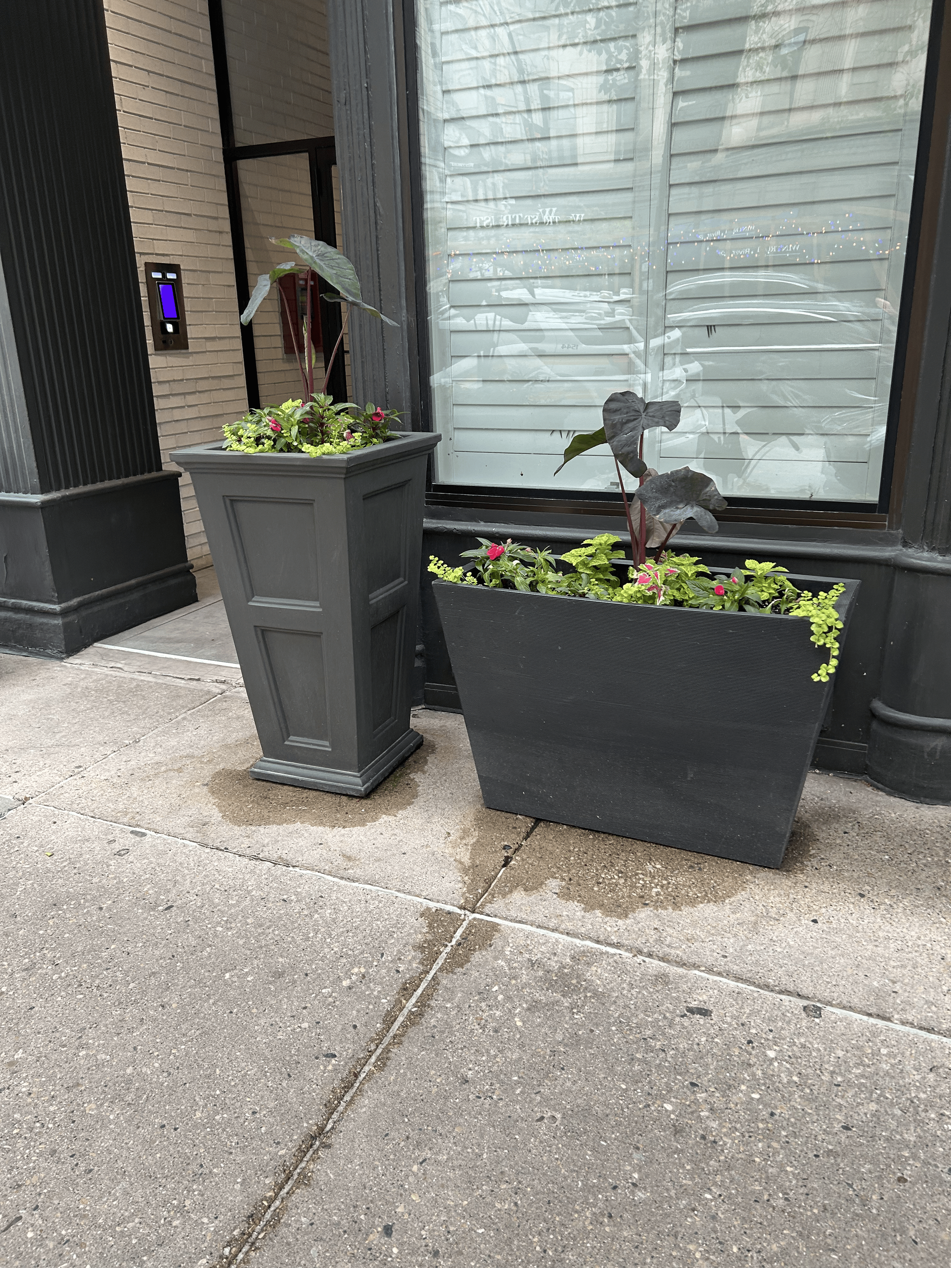 Two dark planters with greenery and flowers sit on a gray sidewalk near a building entrance.