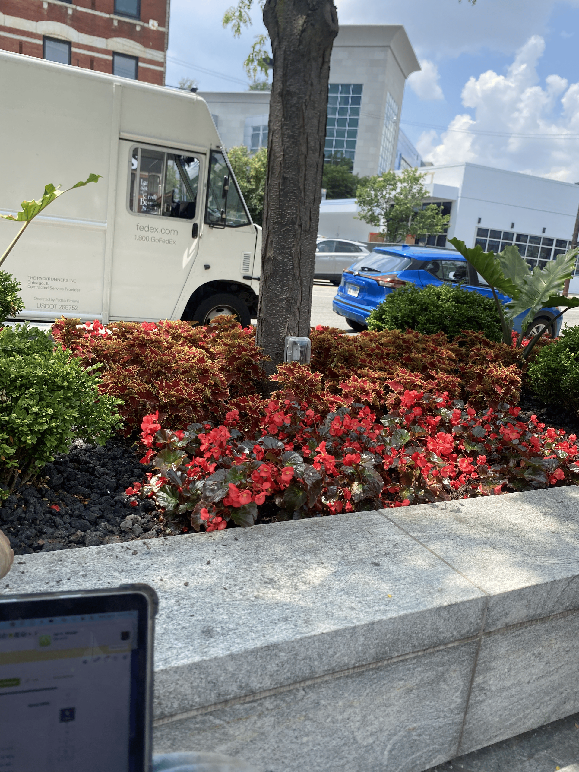 White truck and flower bed at edge of building, blue car in the background. Sunny day.