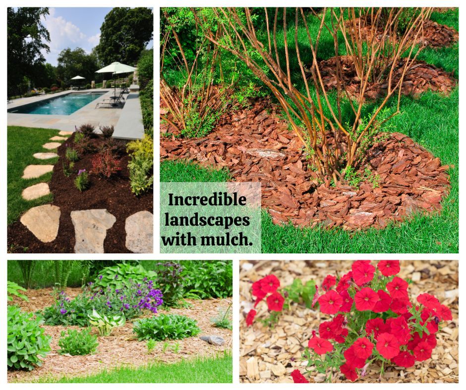 Landscapes with mulch: a pool area, plants with brown mulch, and flowers with tan mulch.