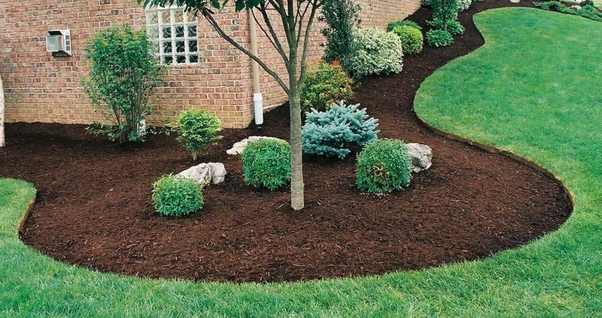 Landscape bed with dark brown mulch, green shrubs, and a tree, next to a brick building and grass lawn.