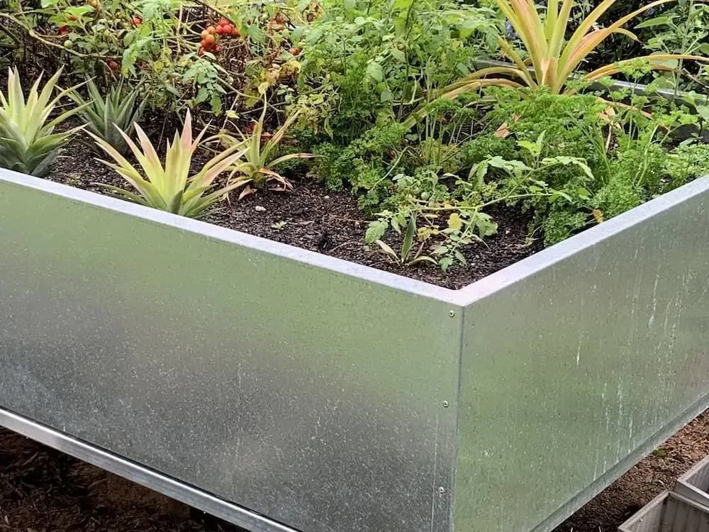 A Metal Planter Filled With Lots of Plants and Dirt — Metaltrendz in Kunda Park, QLD