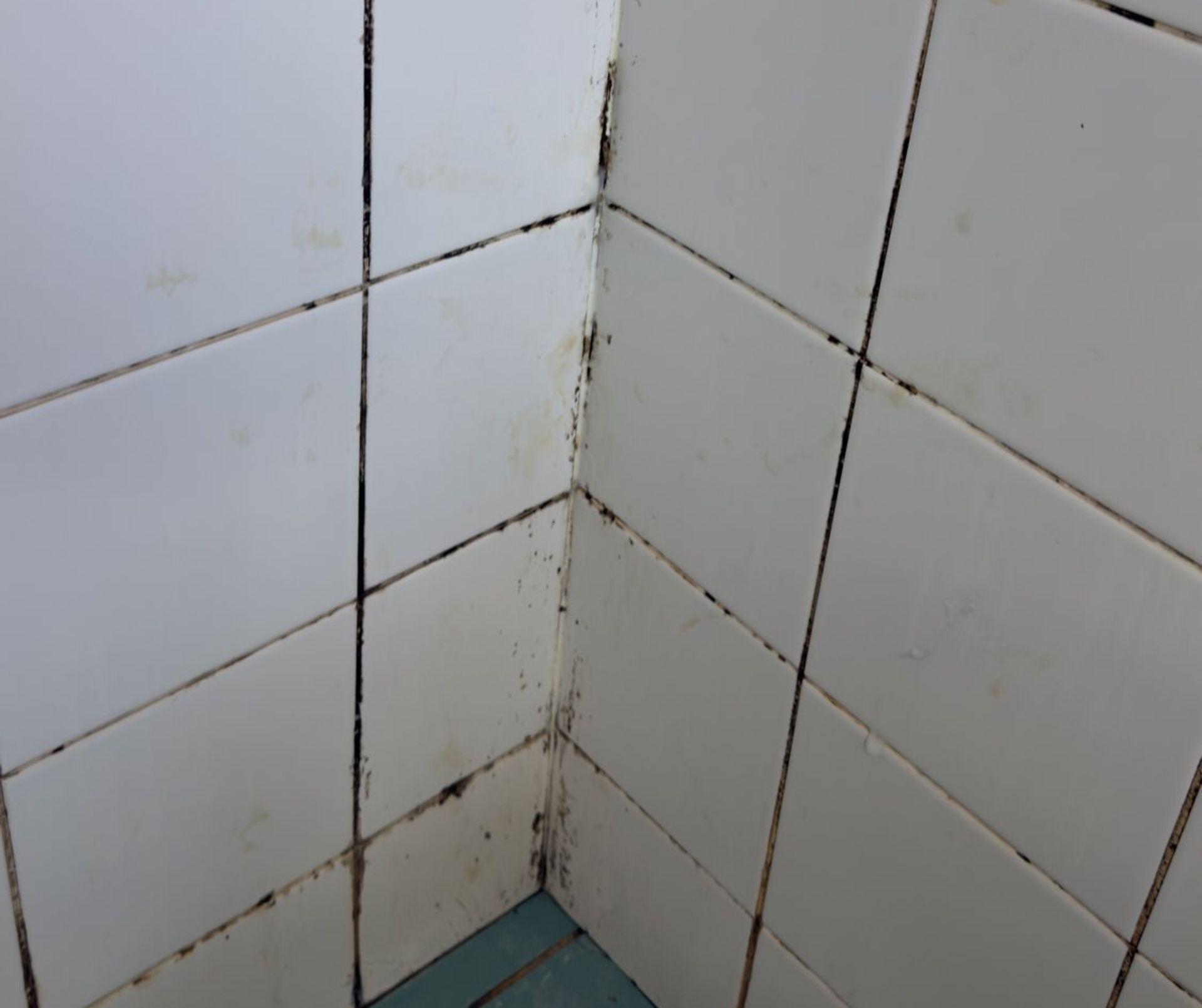 White Tiles in A Shower with Mould — Schmucker Cleaning in Gulliver, QLD