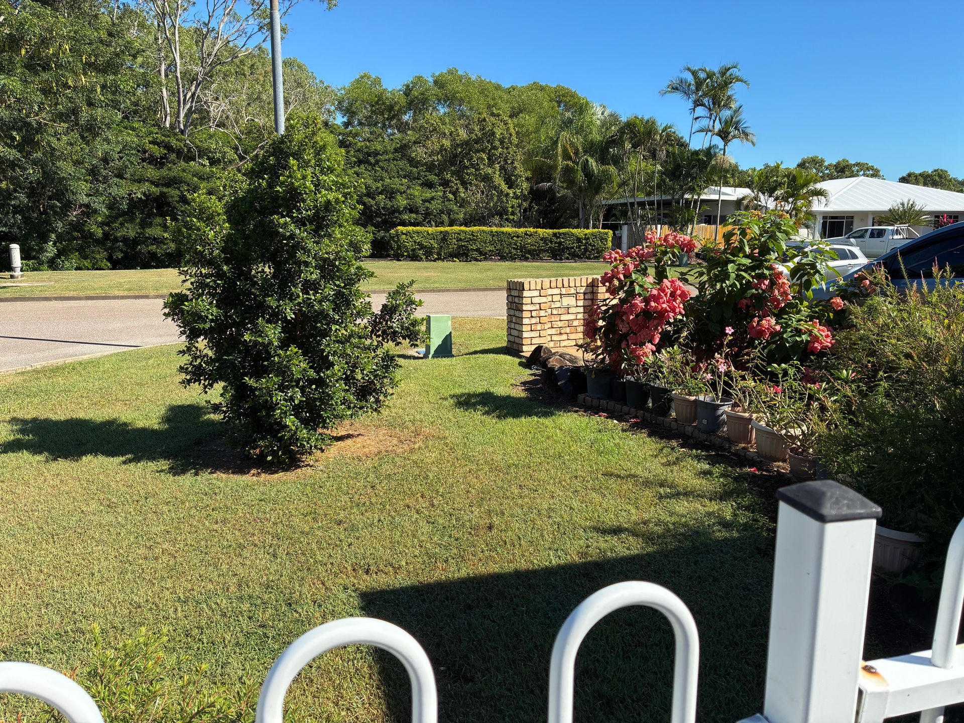Front yard with a small tree, flower bed, lawn, and a white fence under sunny skies — Schmucker Cleaning in Gulliver, QLD