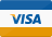 VISA logo with blue text on white background and a gold stripe below