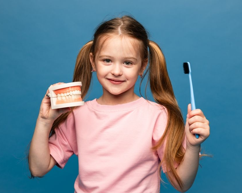 Child holding a dental model and toothbrush against a blue background