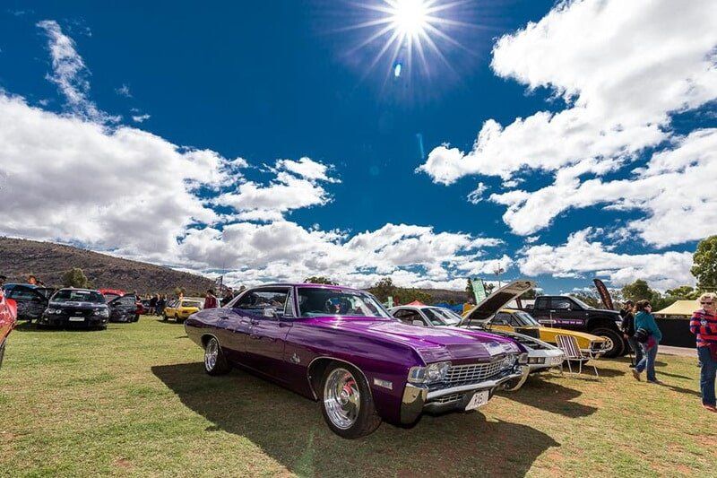 Violet Car And Cars Other — Blatherskite Park in Alice Springs, NT