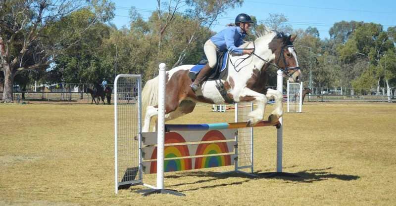 Horse Jumping over an Obstacle — Blatherskite Park in Alice Springs, NT