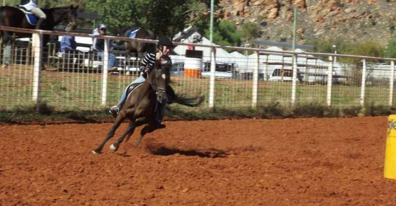Horse Running on a Red Dirt — Blatherskite Park in Alice Springs, NT