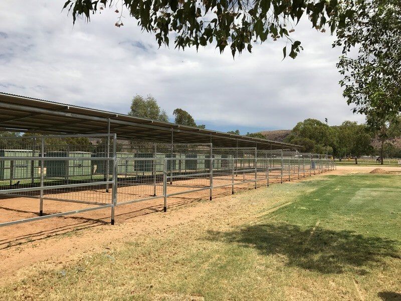 Stables Horse — Blatherskite Park in Alice Springs, NT