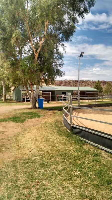 House Of Horses — Blatherskite Park in Alice Springs, NT