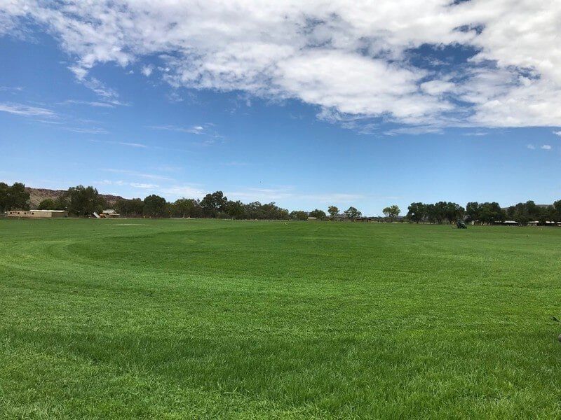 View Grass And Trees In Alice Springs — Blatherskite Park in Alice Springs, NT