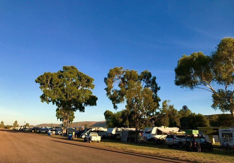 Three Trees, Campers — Blatherskite Park in Alice Springs, NT