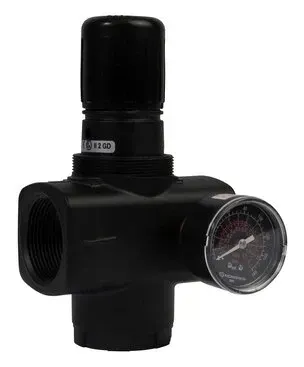 Black pressure regulator with gauge and threaded ports