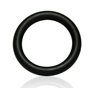 Black rubber O-ring on a white background