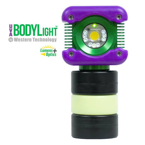 Purple and black BodyLite portable light with green lens on a white background