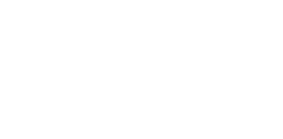 A white background with a few lines on it