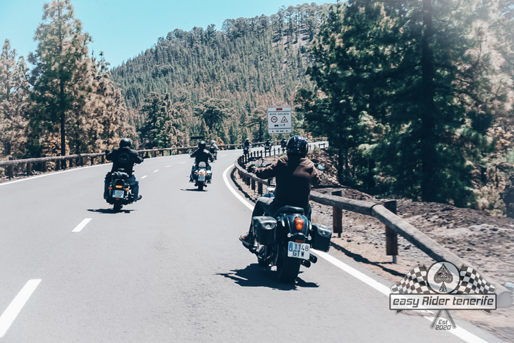 A group of people are riding motorcycles down a highway