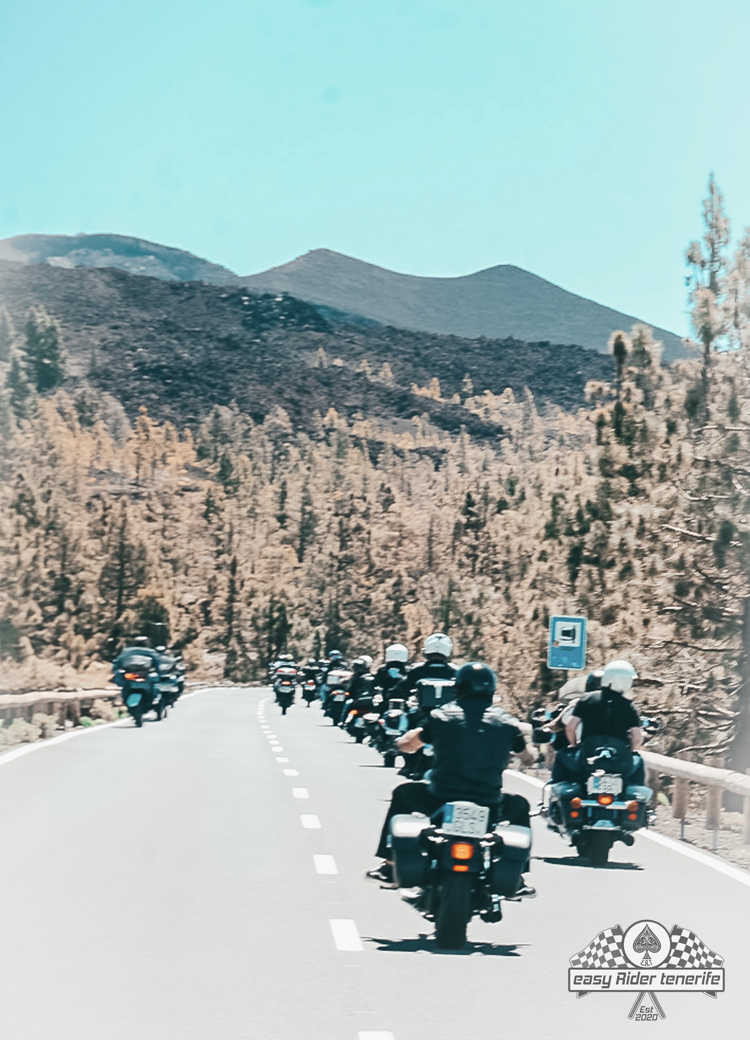 A group of people are riding motorcycles down a road.