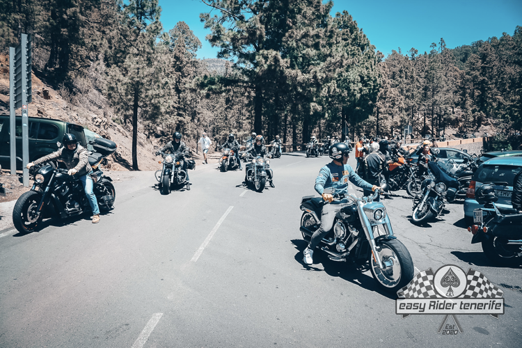 A group of motorcycle riders are riding down a road with trees in the background