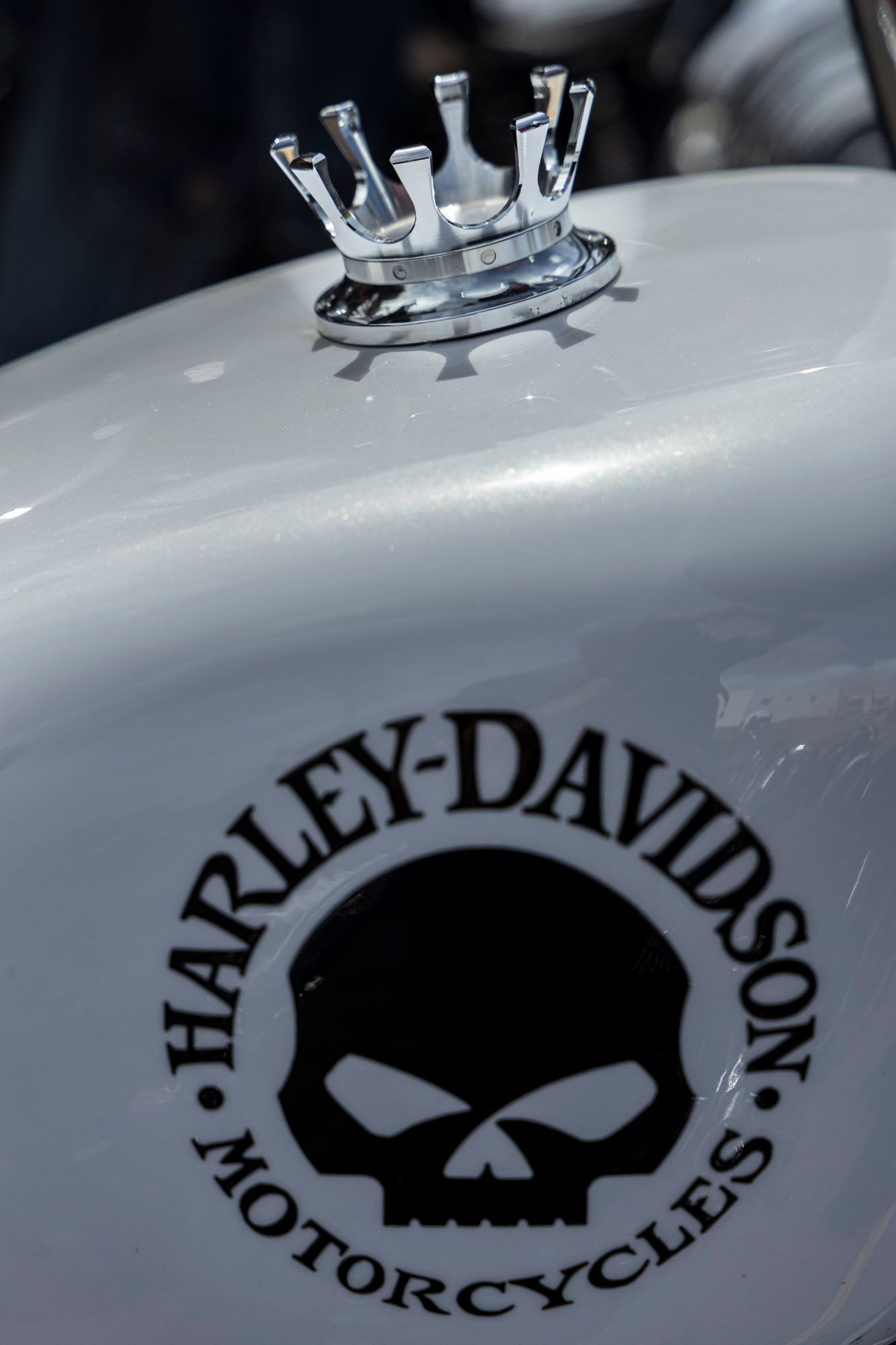 A harley davidson motorcycle with a skull on it