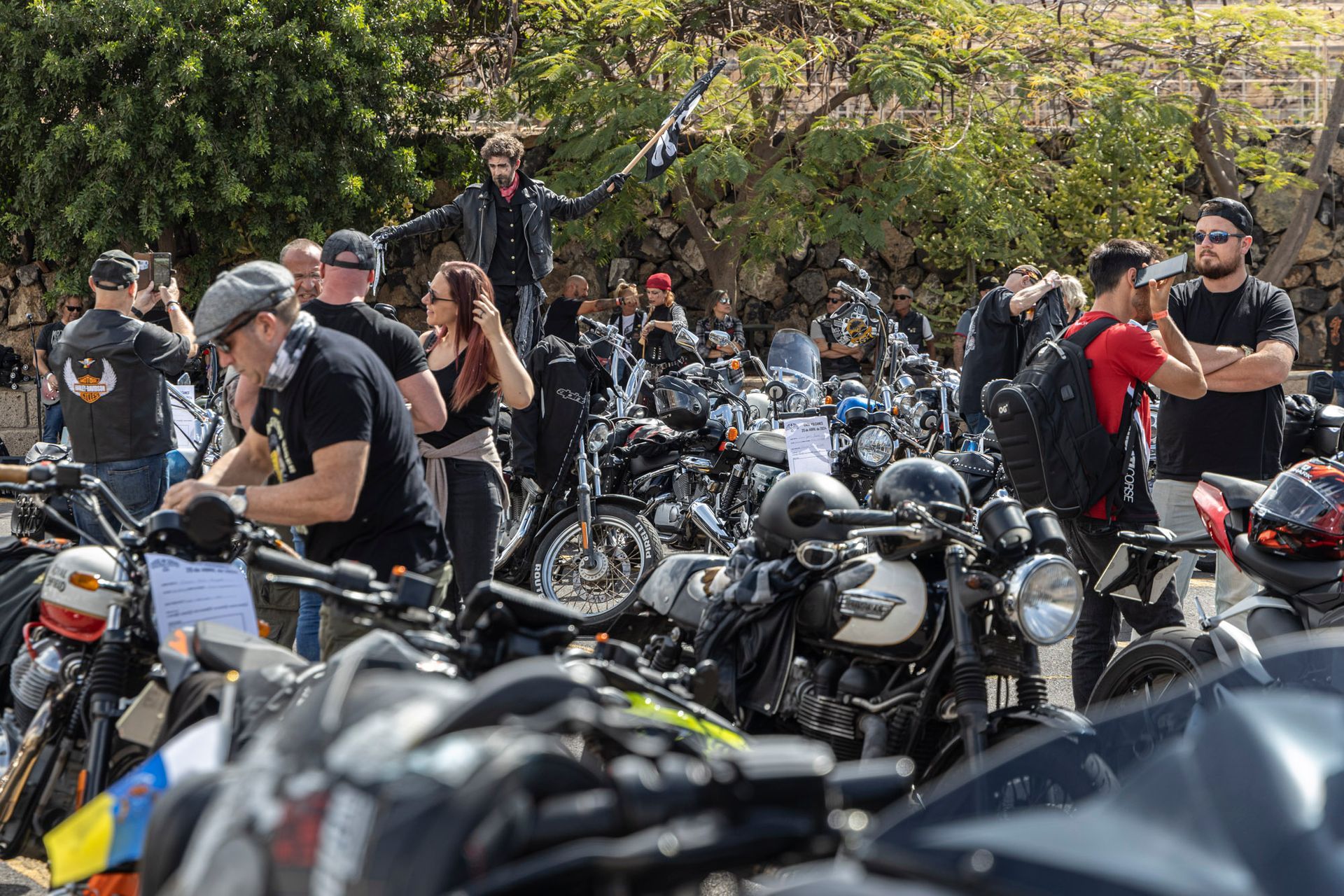 A group of people are standing around a row of motorcycles.