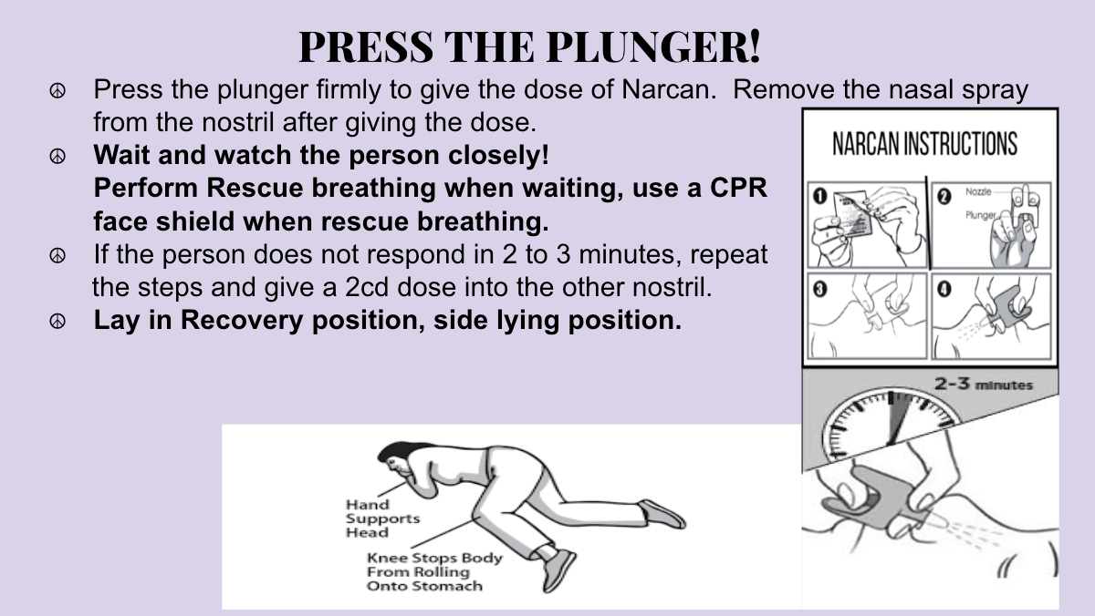 A pamphlet that says press the plunger on it