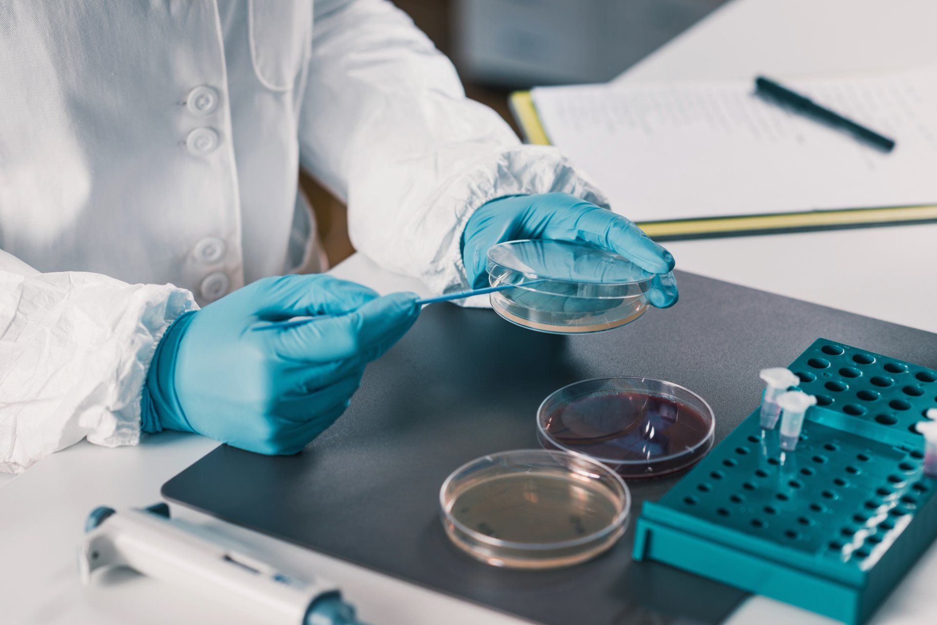 A scientist wearing blue gloves is holding a petri dish.