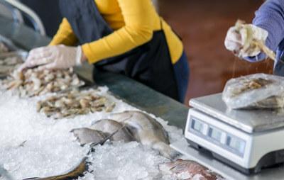 CONGELADORA EL TREBOL - MARISCOS