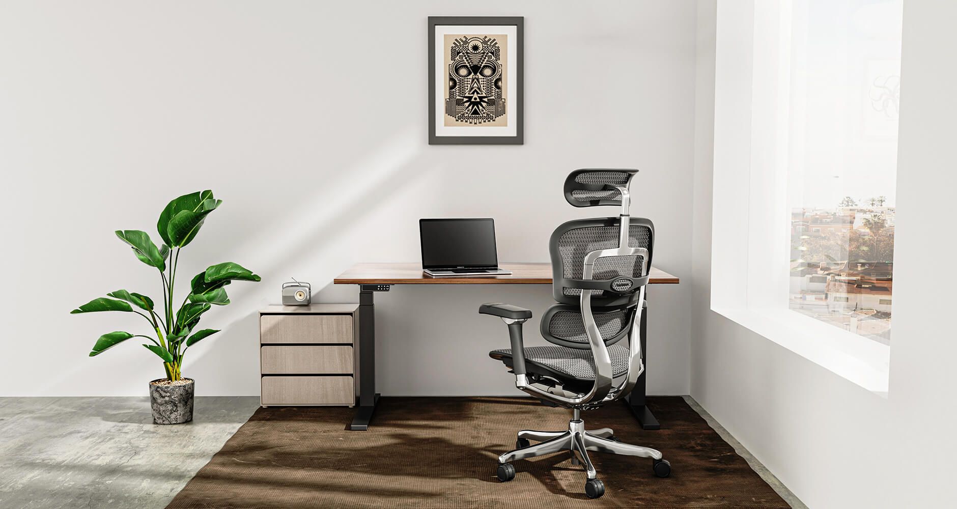 Ergohuman Elite G2 Plus roomset