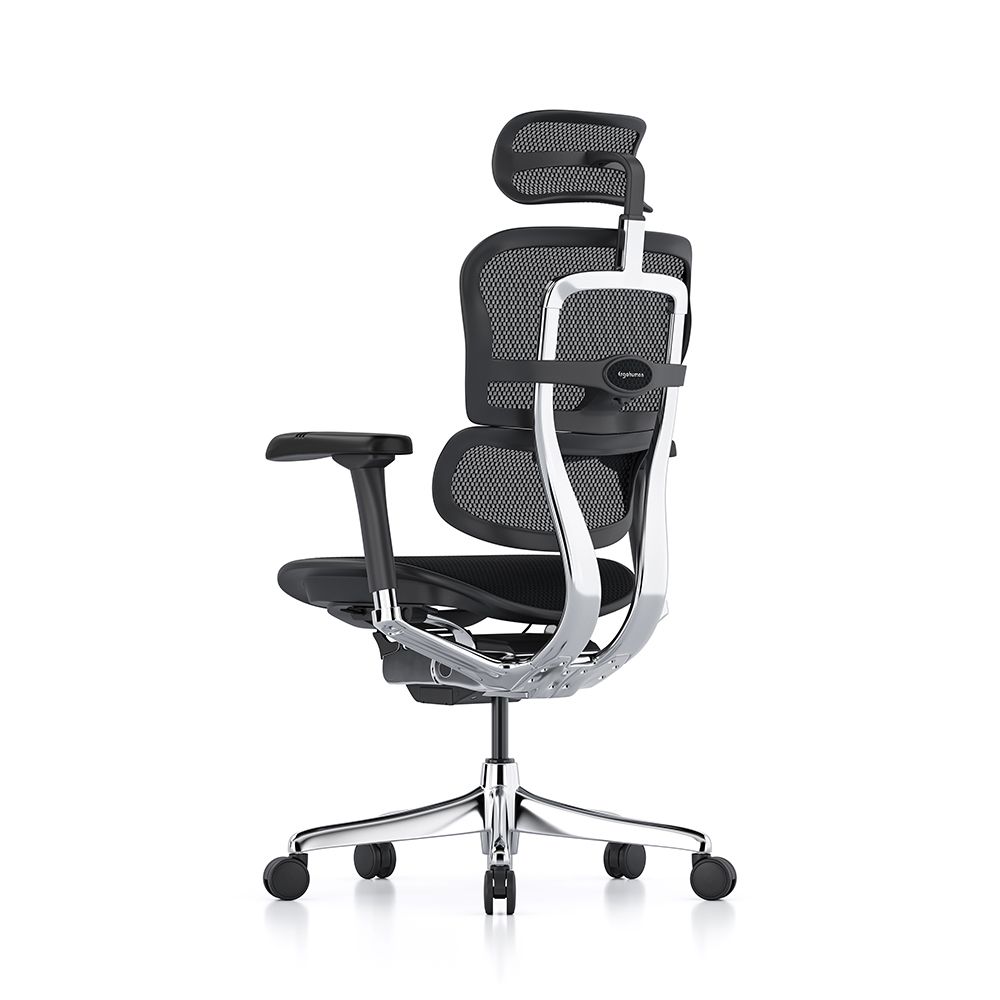 Ergohuman Elite G2 with black frame and black T mesh and headrest