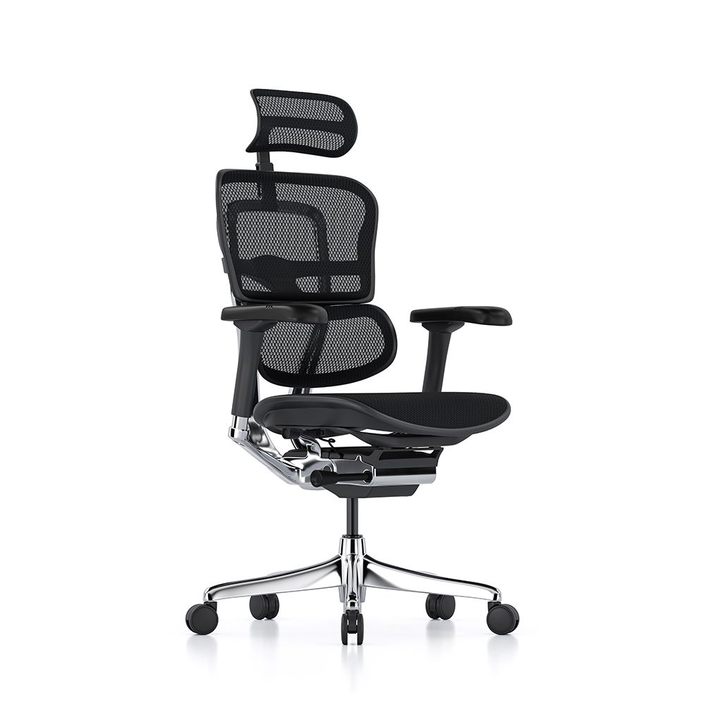Ergohuman Elite G2 with black frame and black T mesh and headrest