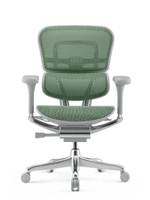 Ergohuman green office chair 