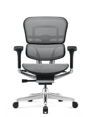 Ergohuman grey office chair 