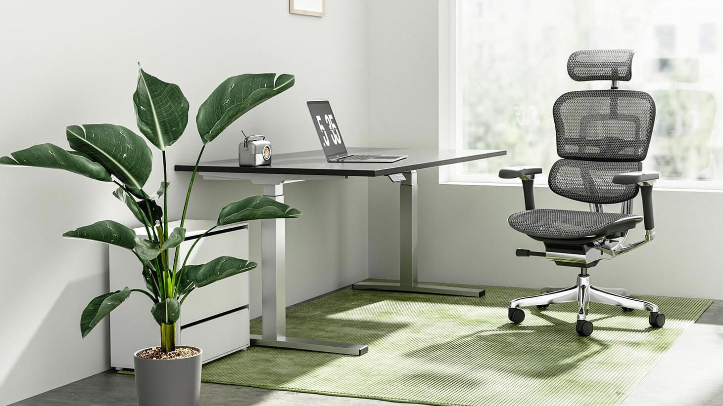 Ergohuman chair at a black and silver desk on a green rug. On the desk is a radio and a laptop. There is a white unit next to the desk, and a green plant. There is a large window behind the chair, letting in natural light.