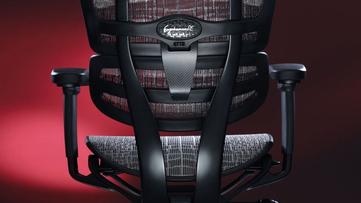 Back view of the Ergohuman Carbon. The chair is black with black snakeskin-like mesh. The Ergohuman logo is featured on the back of the chair. The backdrop behind the chair is red.