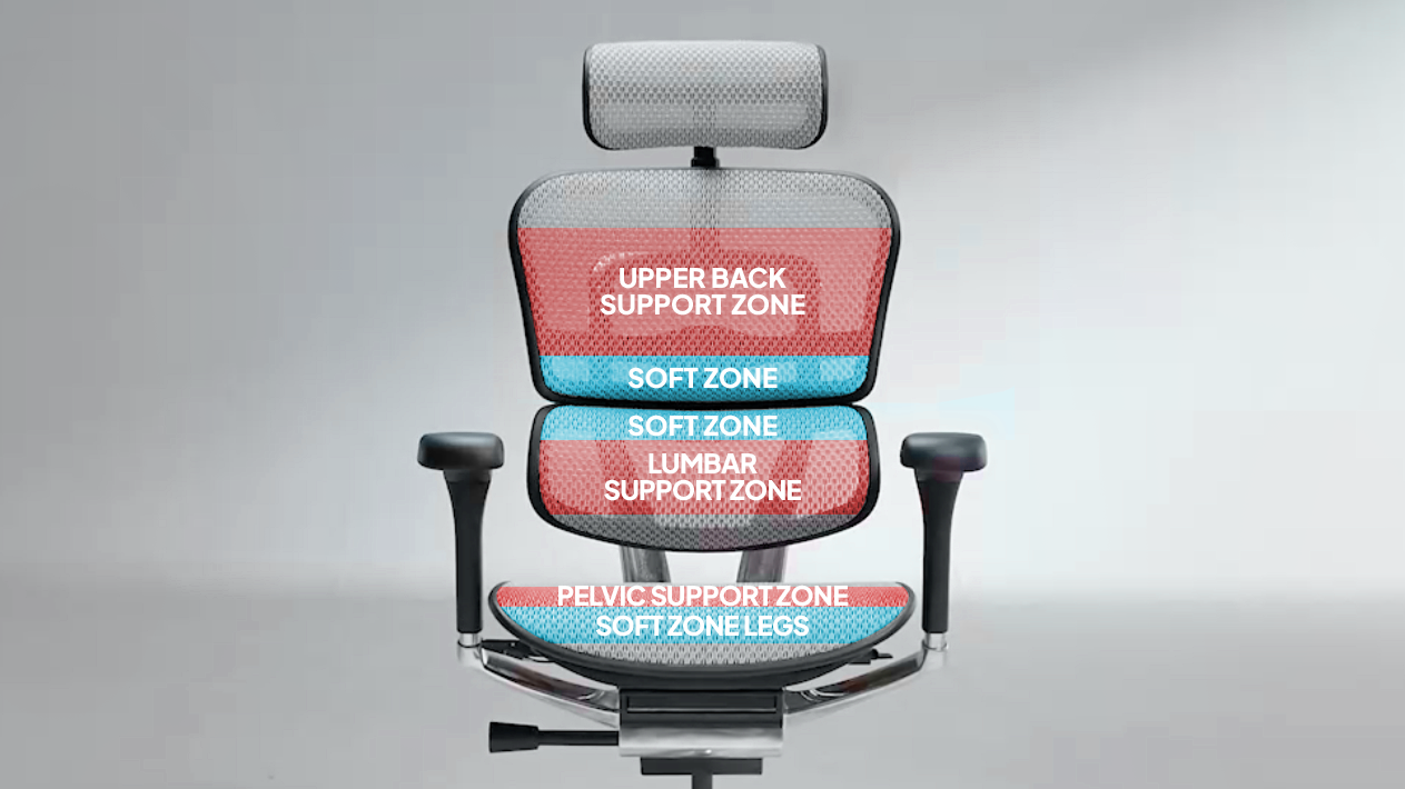 A diagram of the Ergohuman chair, showing the various zones that help with back support. The upper back support zone, soft zone, lumbar support zone, pelvic support zone and soft zone legs are all highlighted in blue and red.