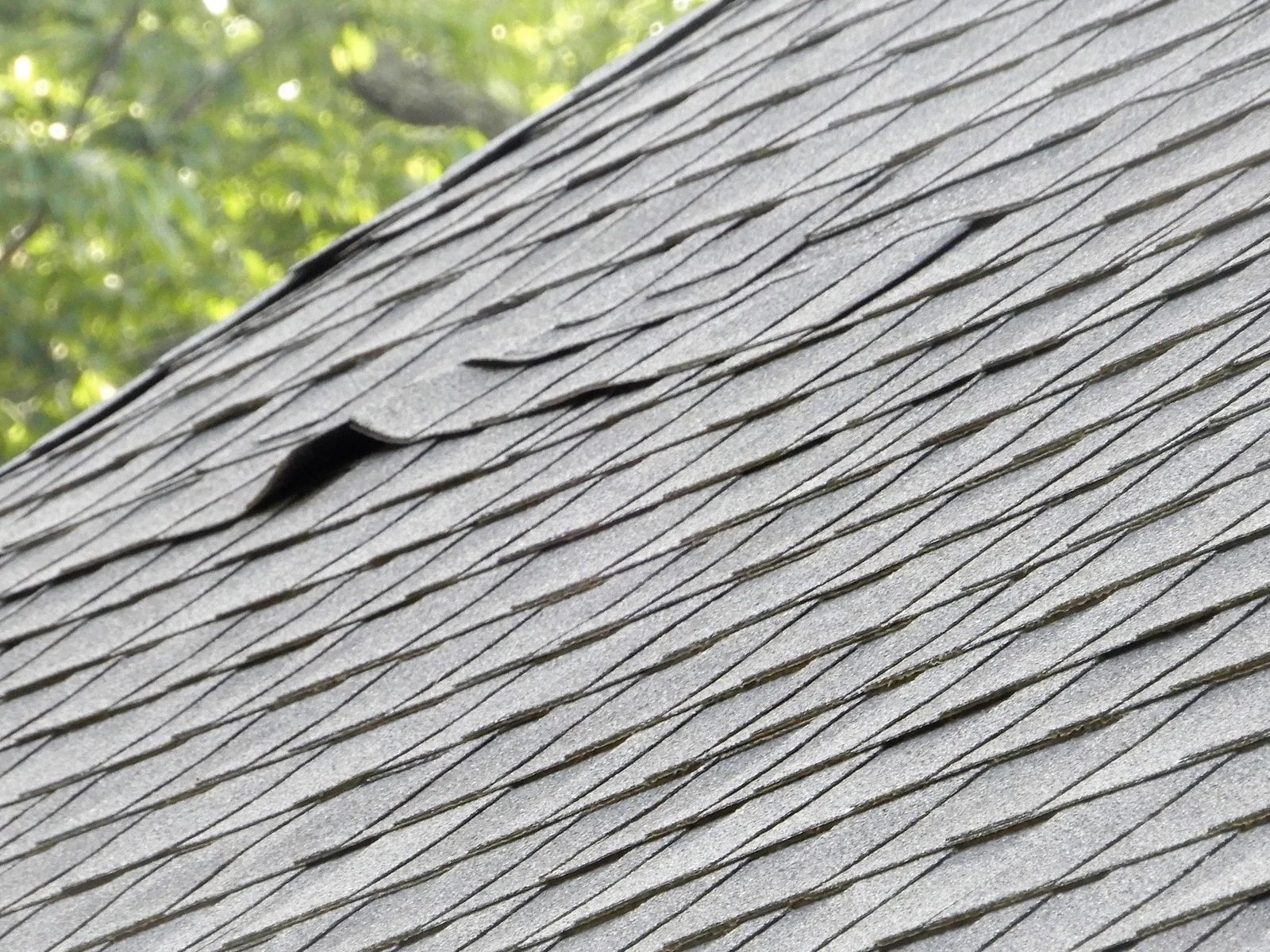 Gray shingled roof with a leafy green tree in the background