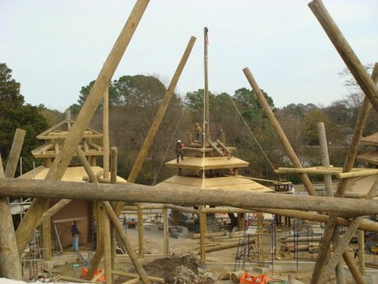 A wooden structure is being built in the middle of a forest