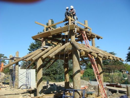 Two men are standing on top of a wooden structure