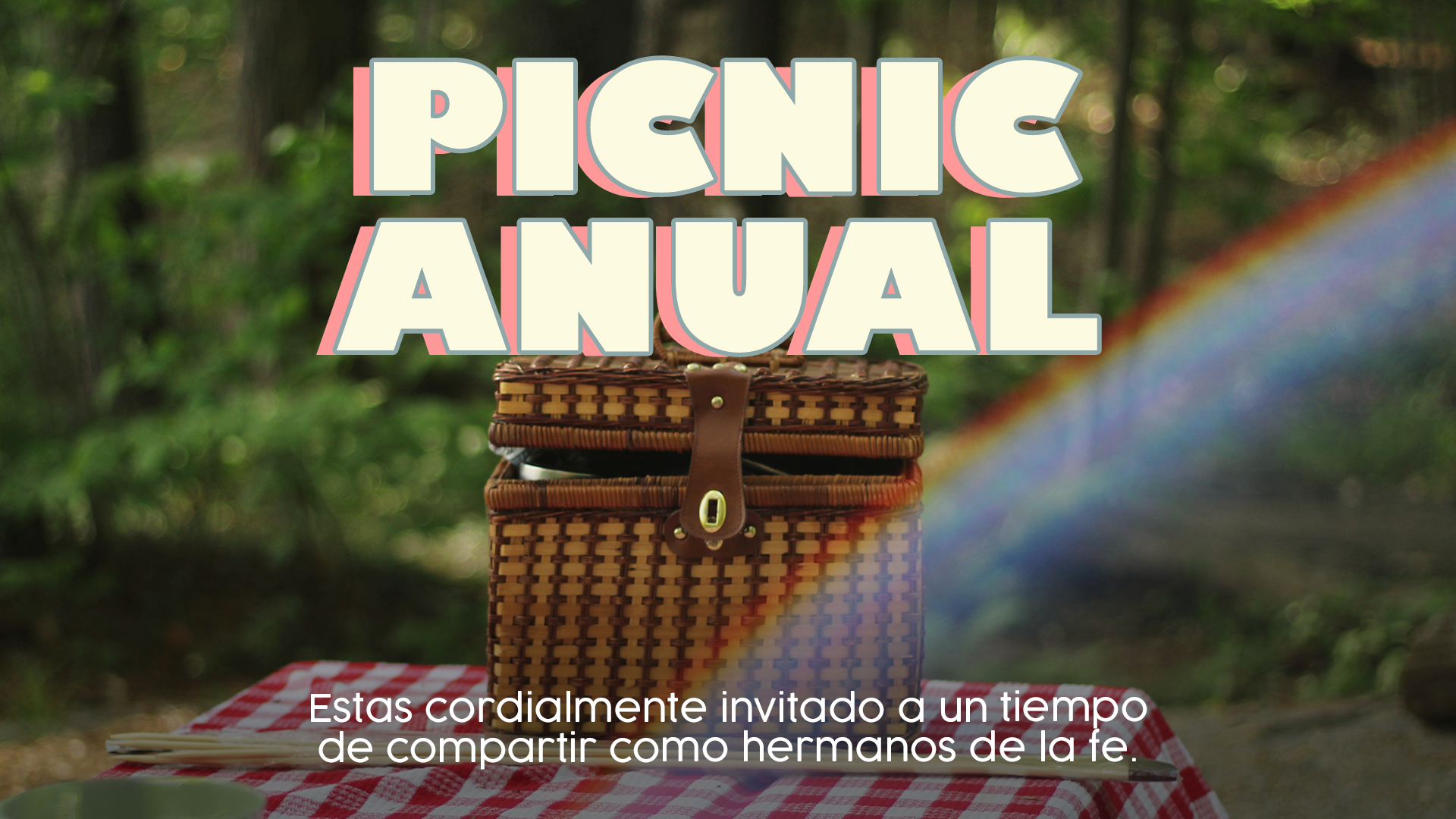 Picnic Anual