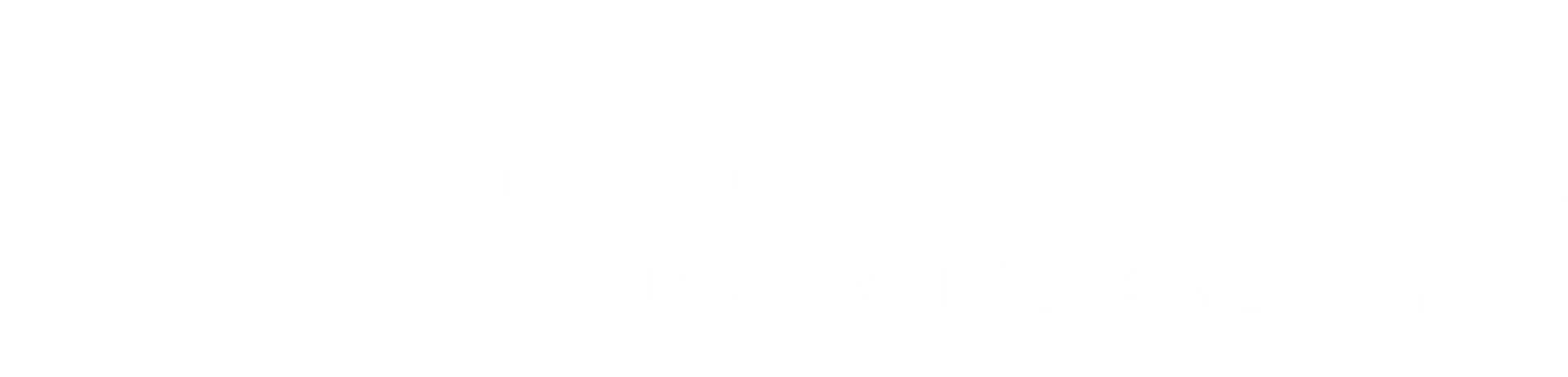 A white background with a few lines on it