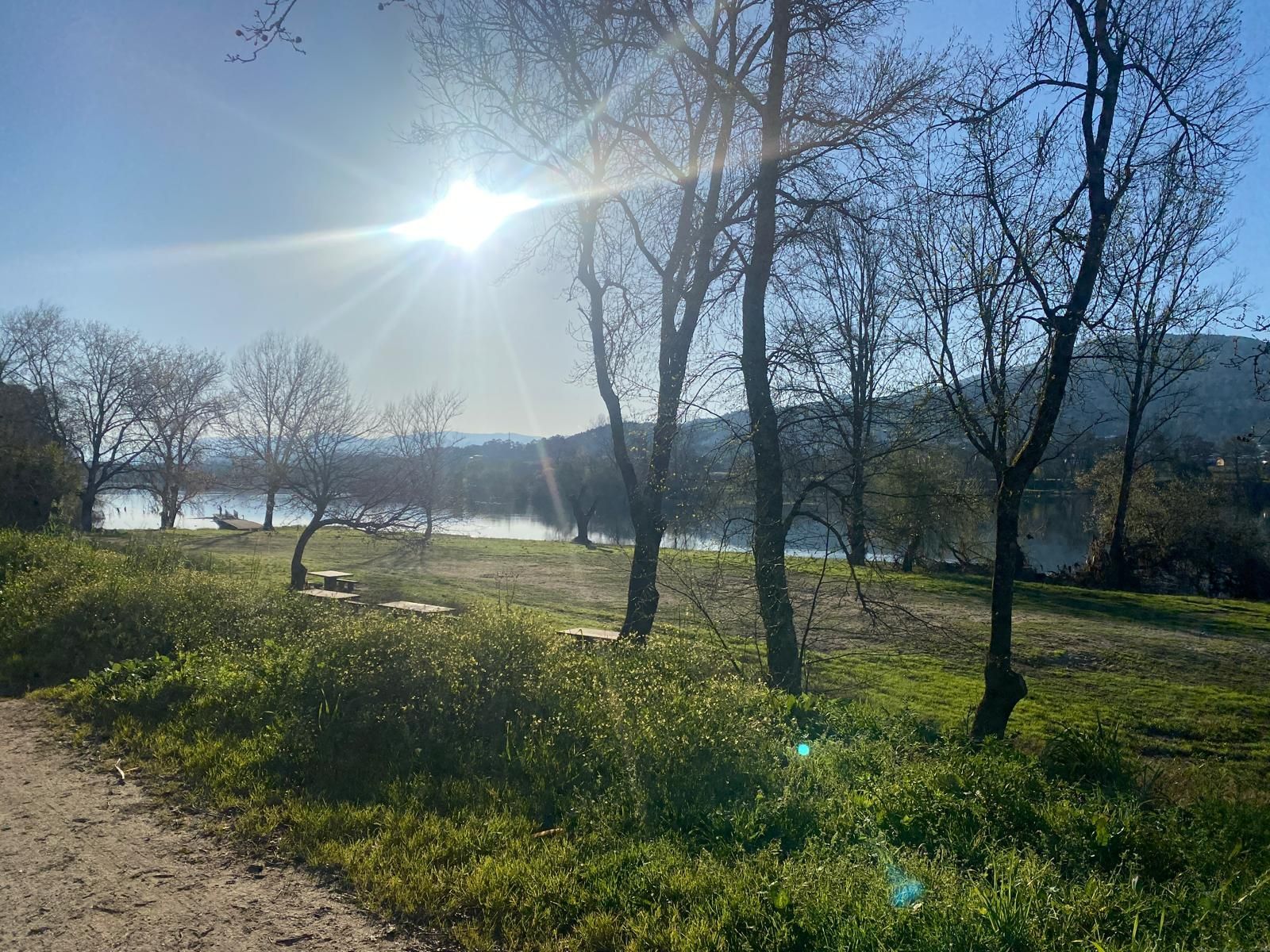 Parque soleado a orillas del río con árboles desnudos, ribera cubierta de hierba y un sol brillante sobre aguas tranquilas.